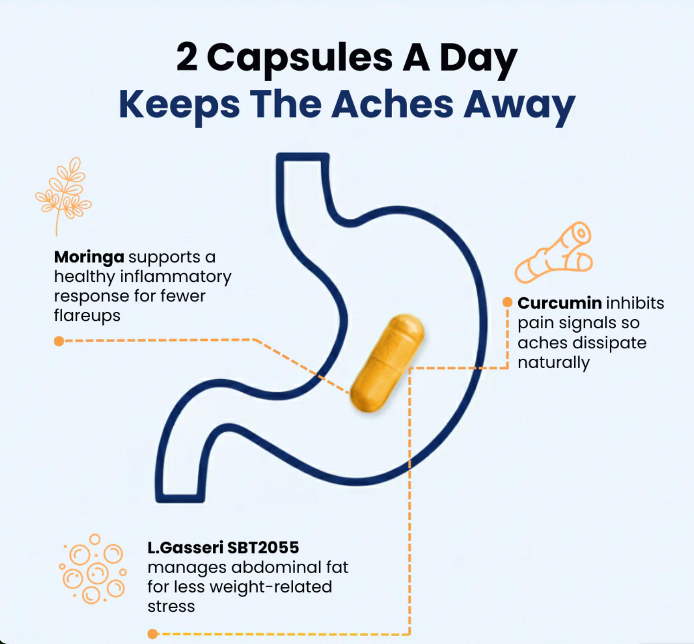 Provitalize Previtalize Slim Gut Bundle for Slimming - Promote Digestion, Metabolism and Gut Health