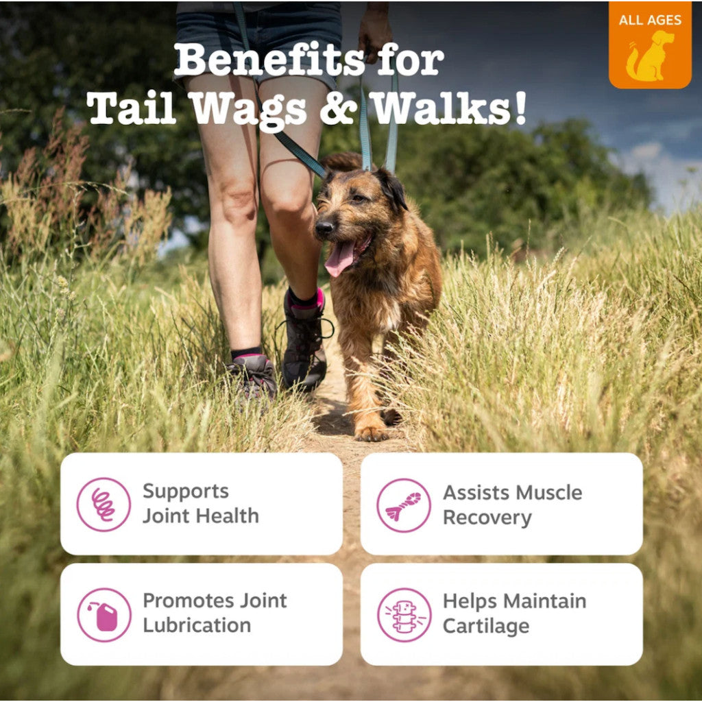 Zesty Paws Hip & Joint (For Limpness, Joint Health & Support), Dog Supplement 90 Chews