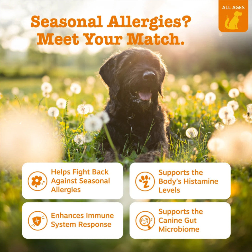 Zesty Paws Allergy & Immune Bites For Dogs Peanut Butter 90 Soft Chews Seasonal Allergy Immune Gut Health