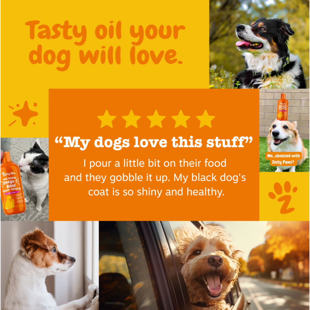 Zesty Paws Pure Wild Alaskan Salmon Oil for Cats and Dogs 32oz/946ml EXP 09/2027