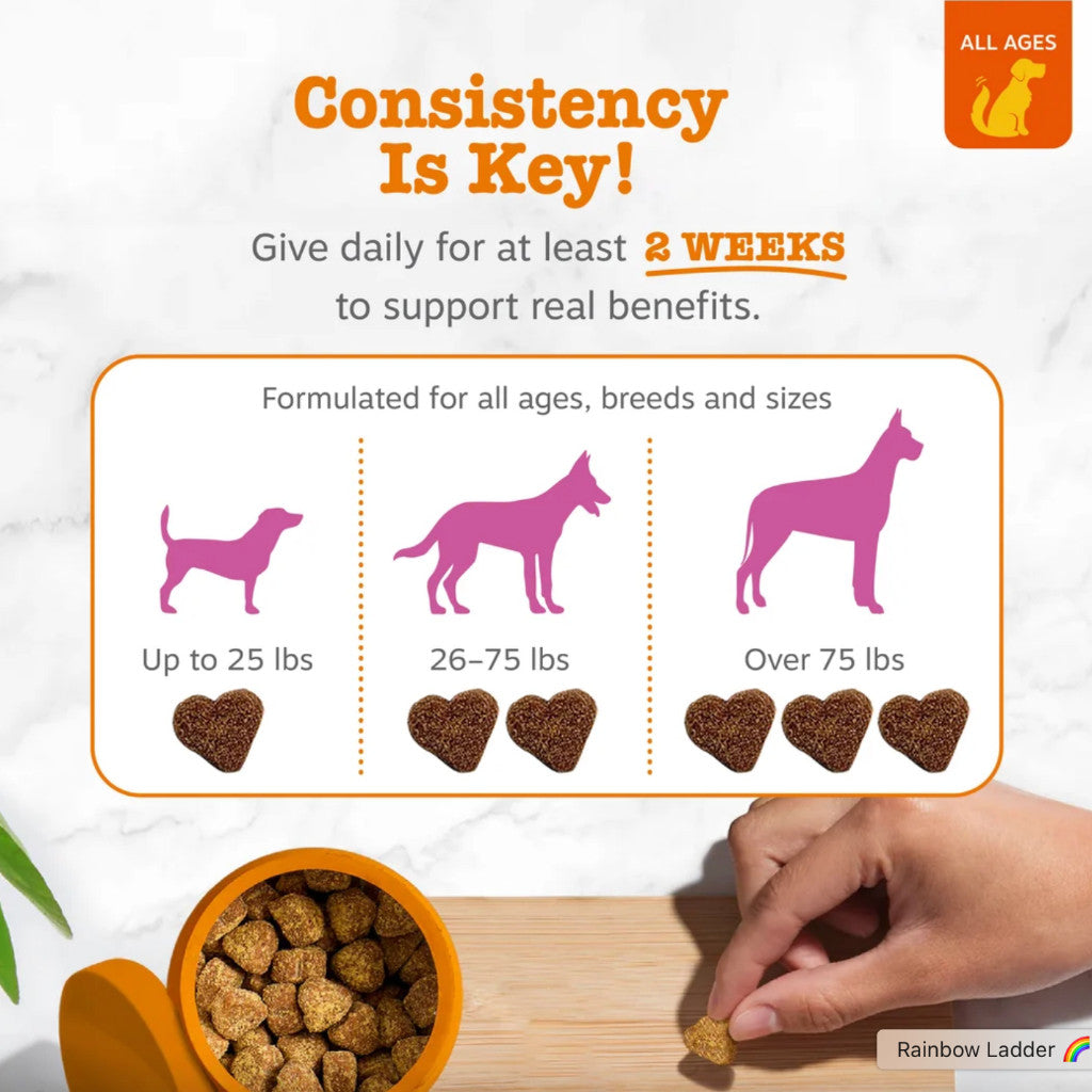 Zesty Paws Allergy & Immune Bites For Dogs Peanut Butter 90 Soft Chews Seasonal Allergy Immune Gut Health